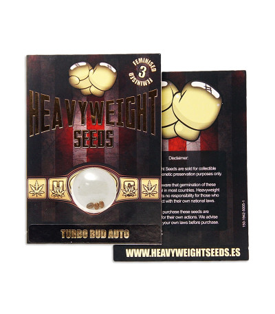 Turbo Bud auto fem (Heavyweight Seeds) — изображение 4