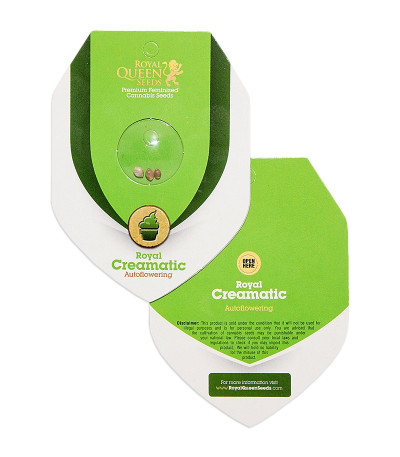 Royal Creamatic auto fem (RQS) семена конопли — изображение 2