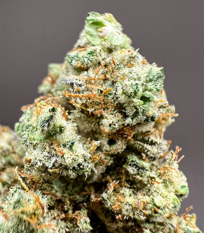 HighCloudZ fem (GHS) семена конопли — изображение 3