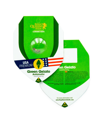 Green Gelato Automatic fem (RQS) семена конопли — изображение 2